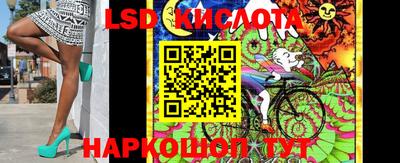 стафф Кандалакша